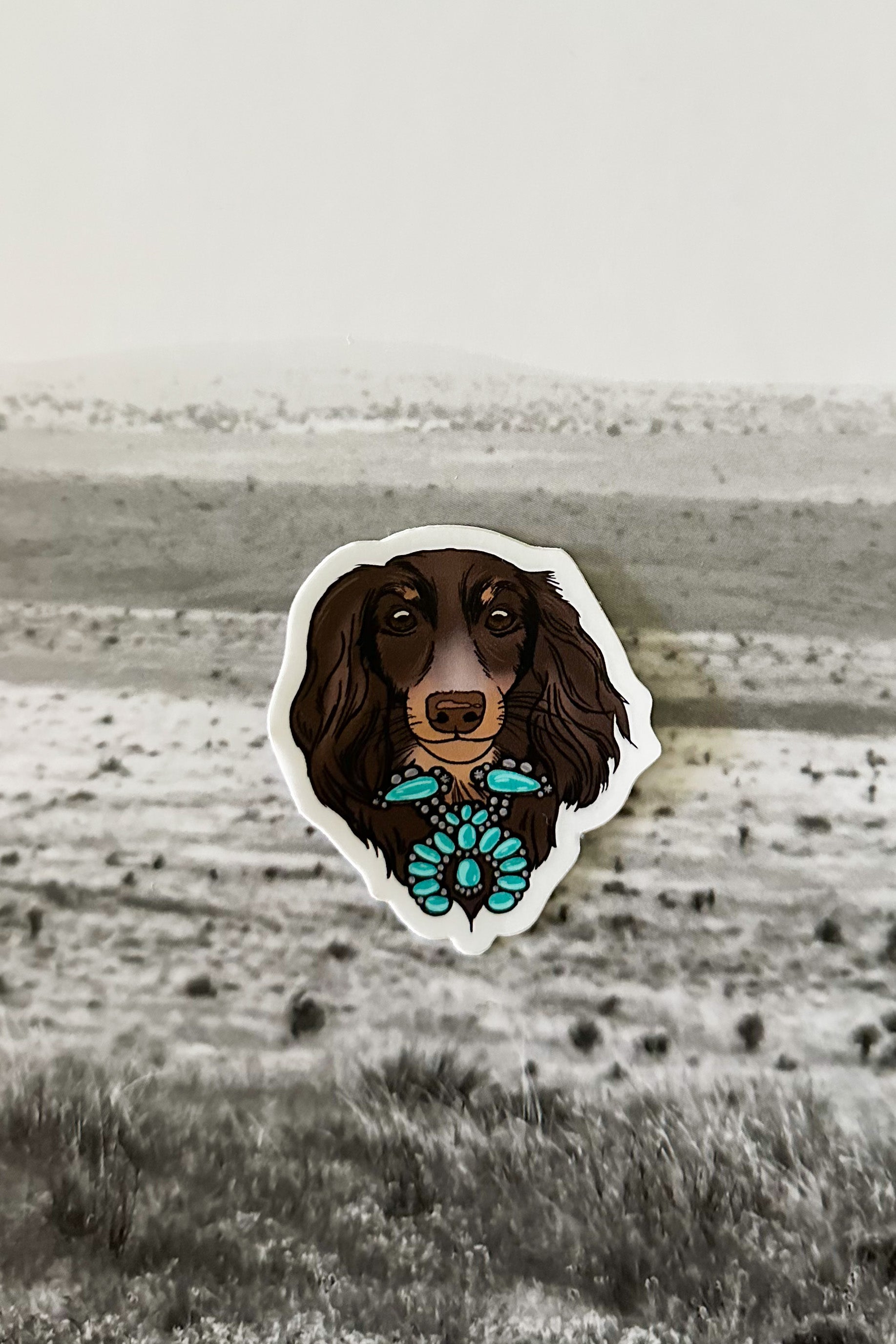Boone Sticker – The Rockin' T Bar S